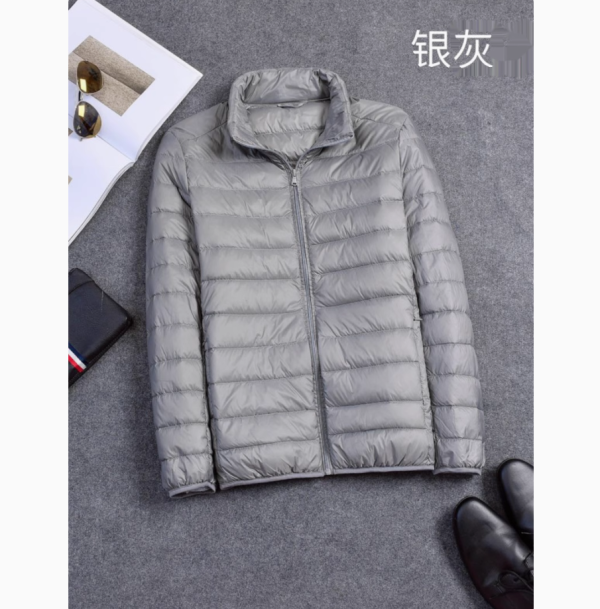 立领保暖小款男士轻溥款羽绒服男土博款yurongfu轻薄雨绒冬季乳绒灰色