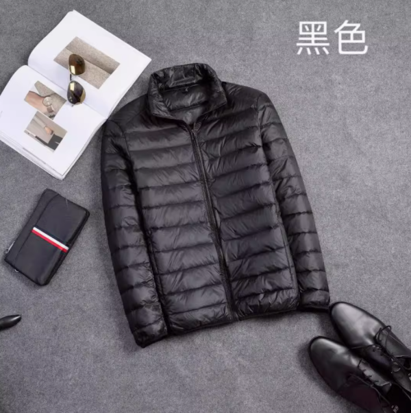 立领保暖小款男士轻溥款羽绒服男土博款yurongfu轻薄雨绒冬季乳绒